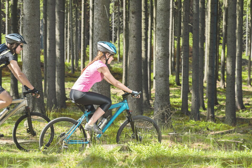 Enjoy nature the sporty way Fahrradfahrer fahren mit Ihren Rädern durch den Wald