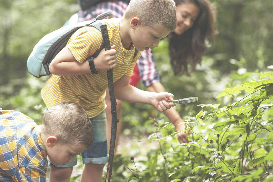 Nature explorers Kinder entdecken die Natur bei einem Spaziergang vom Sporthotel Grafenwald in den Wald